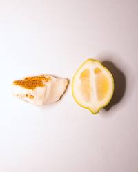 Opal No. 006 beside half a lemon