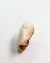Opal No. 014, top showing colour with an ironstone base